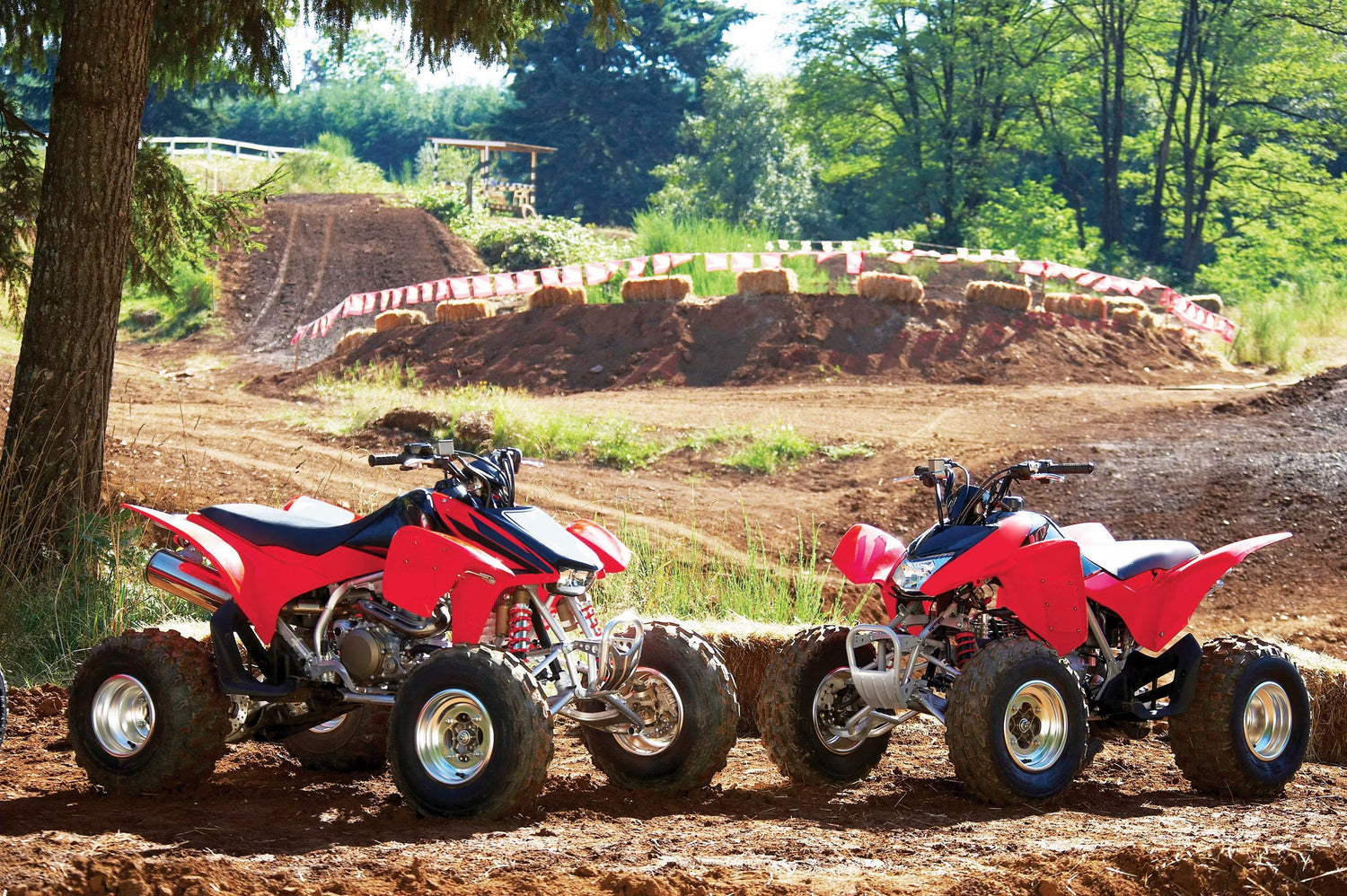 HONDA TRX450R VS TRX250R: ATV Buyer's Guide